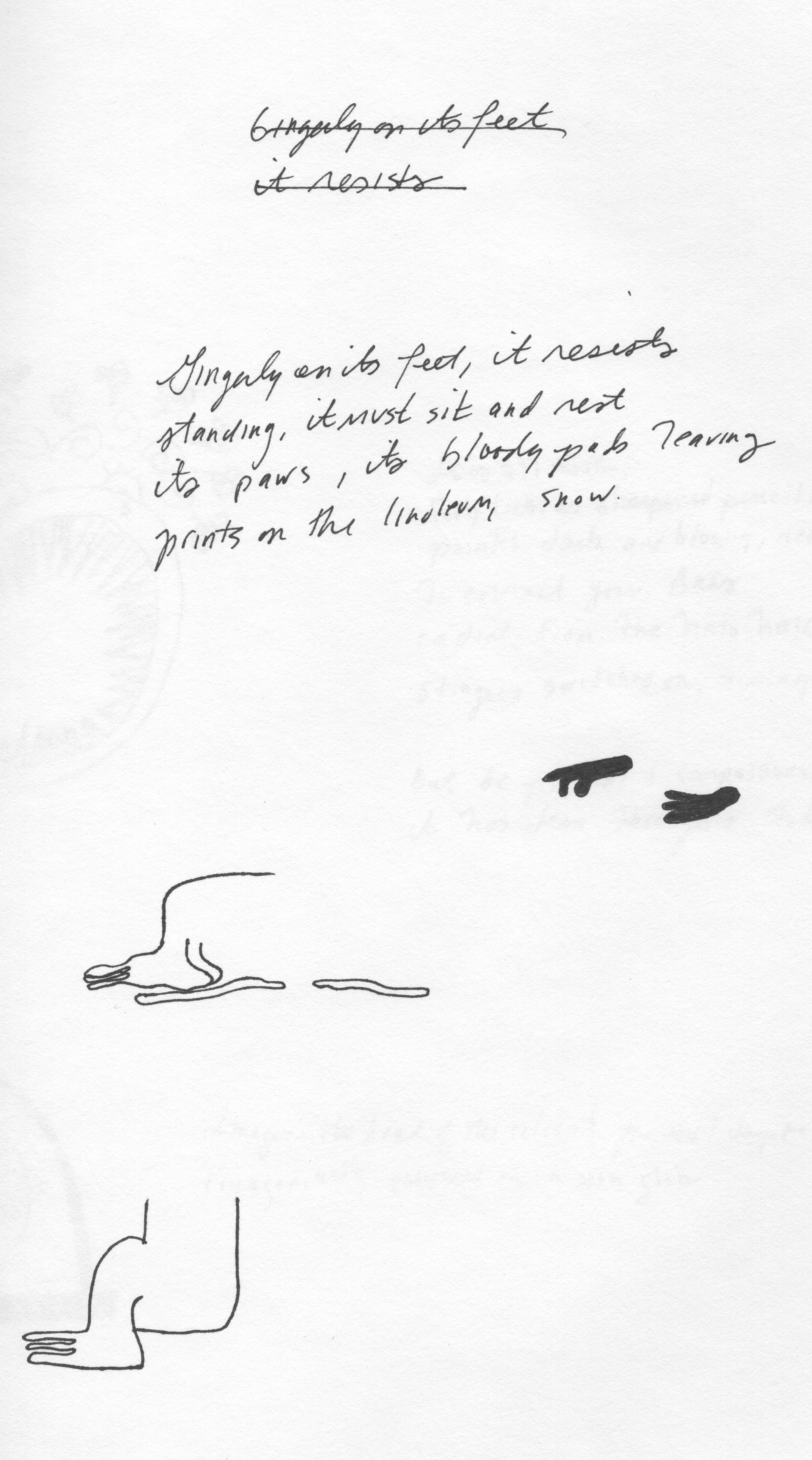hand-drawn images of misshapen feet and footprints, with some words in cursive crossed out, and a poem written in cursive barely legible reading, 'Gingerly on its feet, it resists / standing, it must sit and rest / its paws, its bloody pads leaving / prints on the [illegible] snow'